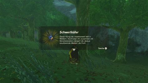 totk schwertkäfer|Schwertkäfer finden und fangen in Zelda Tears of the